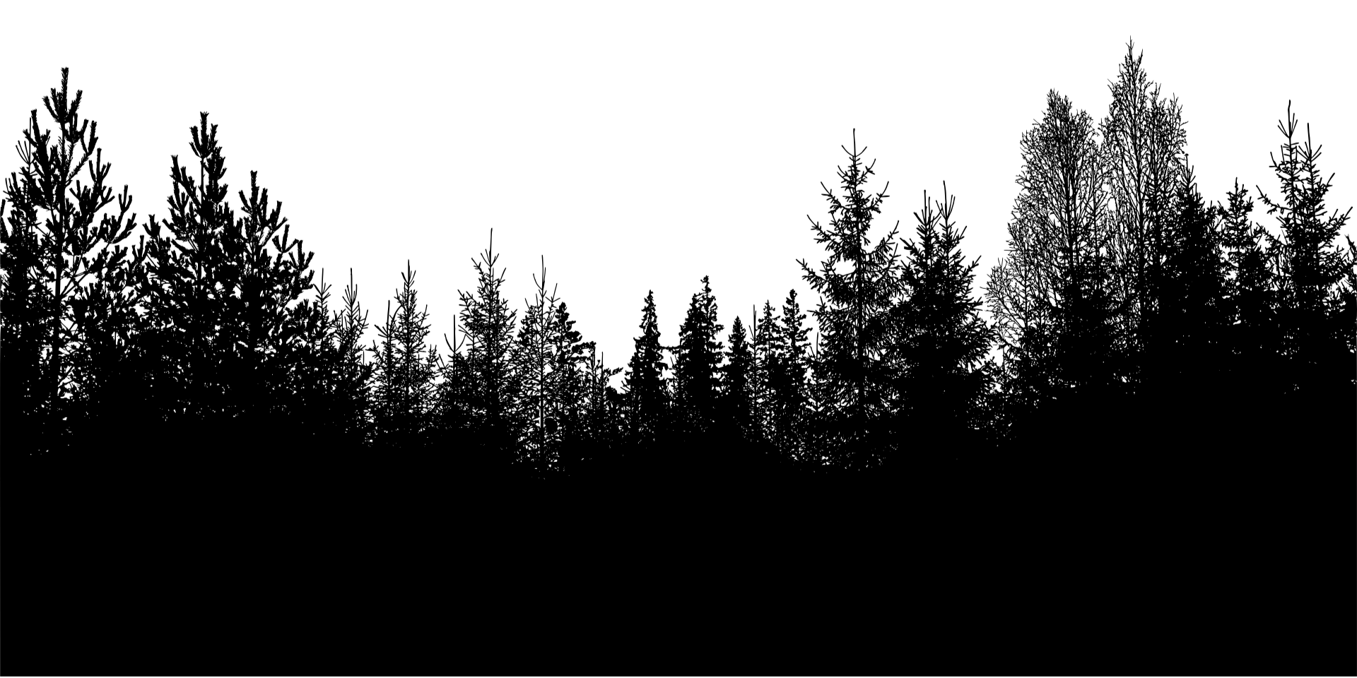 image de séparation foret